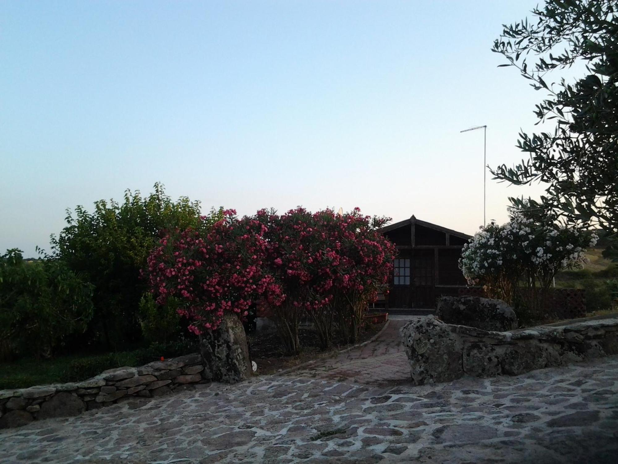 Agriturismo Su Recreu Ittiri Zimmer foto