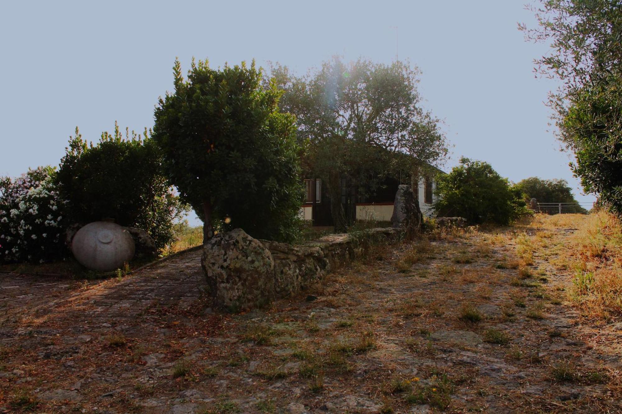Agriturismo Su Recreu Ittiri Exterior foto