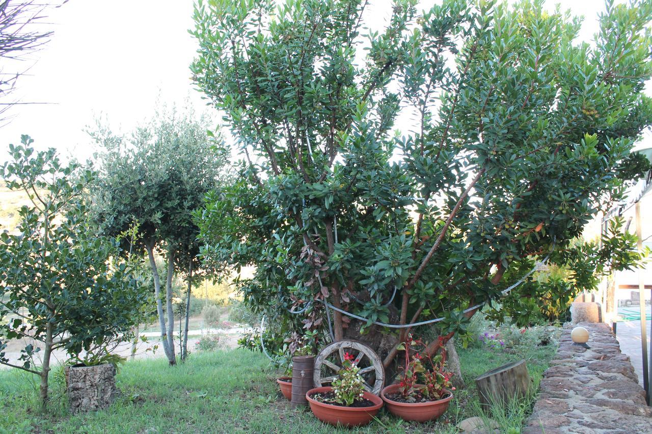 Agriturismo Su Recreu Ittiri Exterior foto